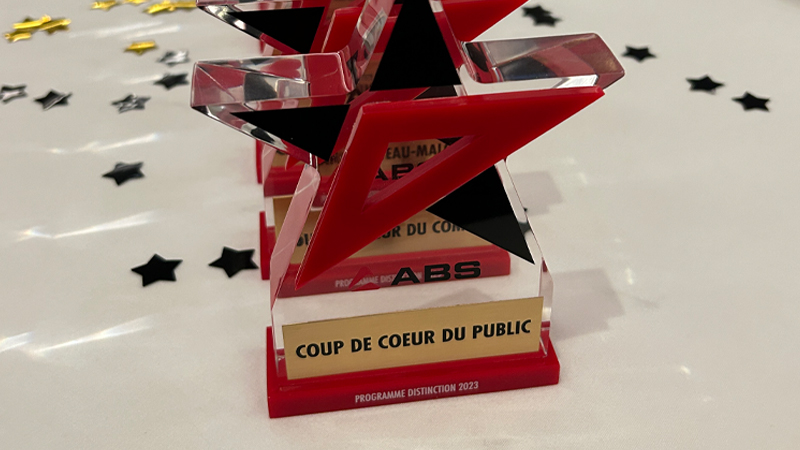 Distinction Reconnaissance et distinction